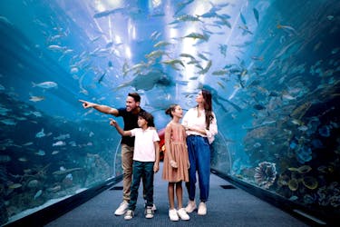 Burj Khalifa Floors 124, 125 and Dubai Aquarium tickets